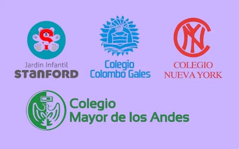 learning-support-neurozen-neurodesarrollo-bogota