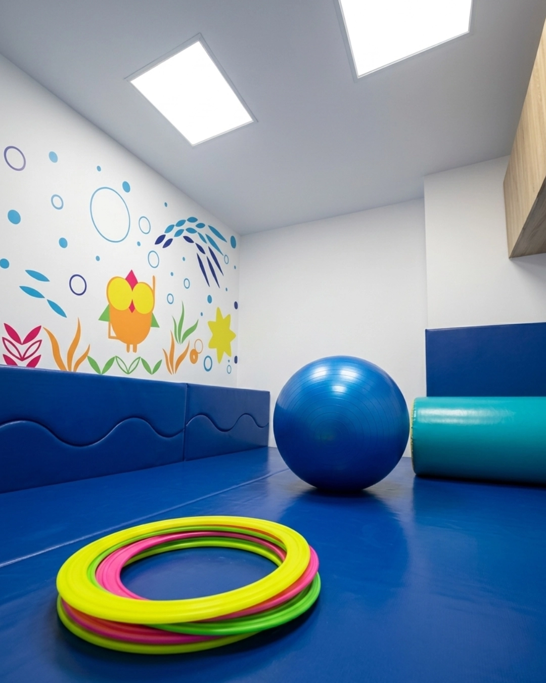Módulo Armonía en Neurozen Bogotá: un espacio de fisioterapia y terapia ocupacional con aros de coordinación motriz, pelota de yoga azul para equilibrio y rodillo terapéutico en un entorno seguro y acolchado.